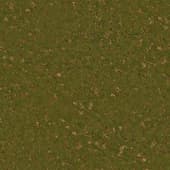 Ground GrassGreenPinecones0 01