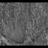 Stains_Liquid_19