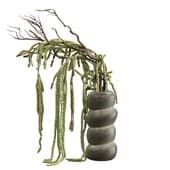 Plant361