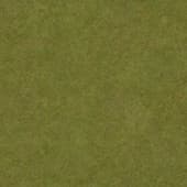 Ground GrassFieldGreenPatchy 0 01