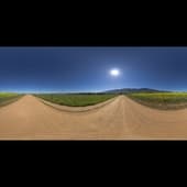 flower_road_4k