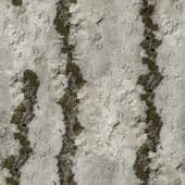 grey concrete with moss 1