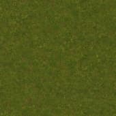 Ground GrassGreen0 02