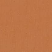 shiny wood 5