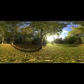sunny_vondelpark_4k