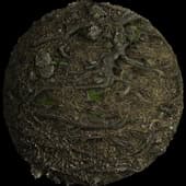 ROOTS-04