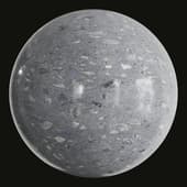 Terrazzo Palladiana Polished Grey 001 250x250