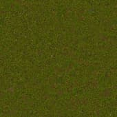 Ground DirtForestFlowers0 01