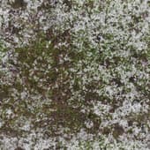 Ground Snow WithGrass 001