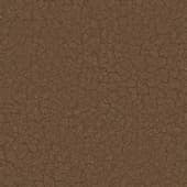 Ground MudCracked0 05