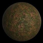 GroundGrassGreenPatchy002 4K