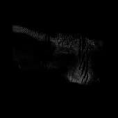 Finger_Print_10
