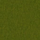 Ground GrassGreen0 04