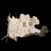 Floor_Damage_Decals_10