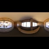 vulture_hide_4k