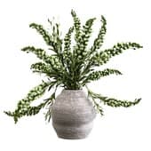Plant834