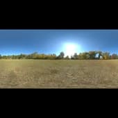 autumn_park_4k