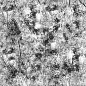 Dirt_43