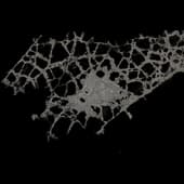 Floor_Damage_Decals_02