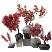 RED_PLANTS