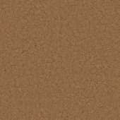 Ground MudCracked0 02